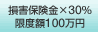 損害保険金×３０％　限度額１００万円
